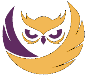 Wingerton Owls logo.png