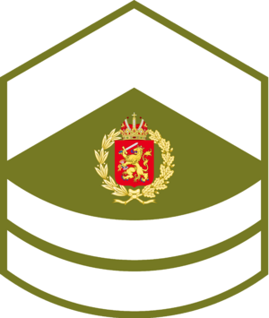 Royal Army, Staff Sergeant Second Class Patch.png