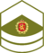 Royal Army, Staff Sergeant Second Class Patch.png