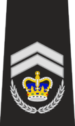 Bondspolitie Sergeant-majoor.png